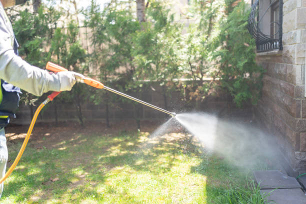 Spider Control Near Me in Owensboro, KY